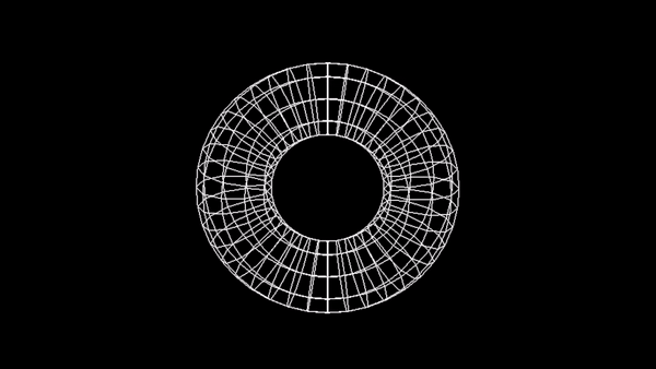 wireframe_torus.gif